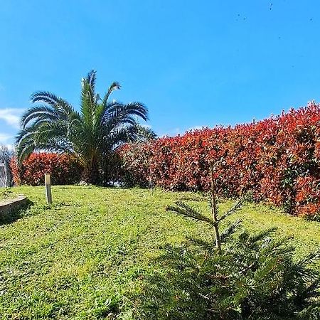 La Bella Addormentata Bed & Breakfast Chieti Bagian luar foto
