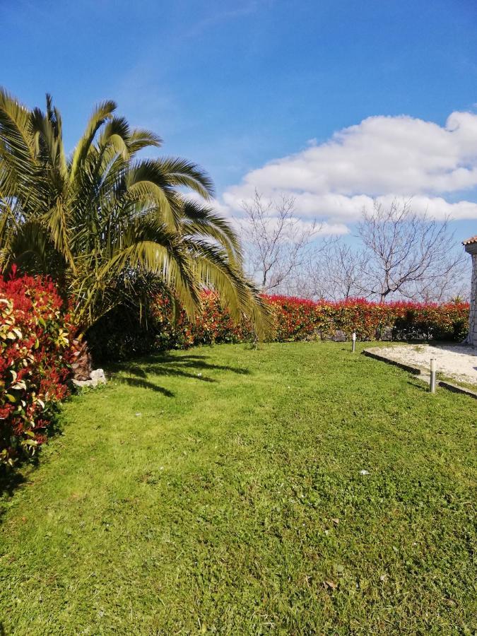 La Bella Addormentata Bed & Breakfast Chieti Bagian luar foto