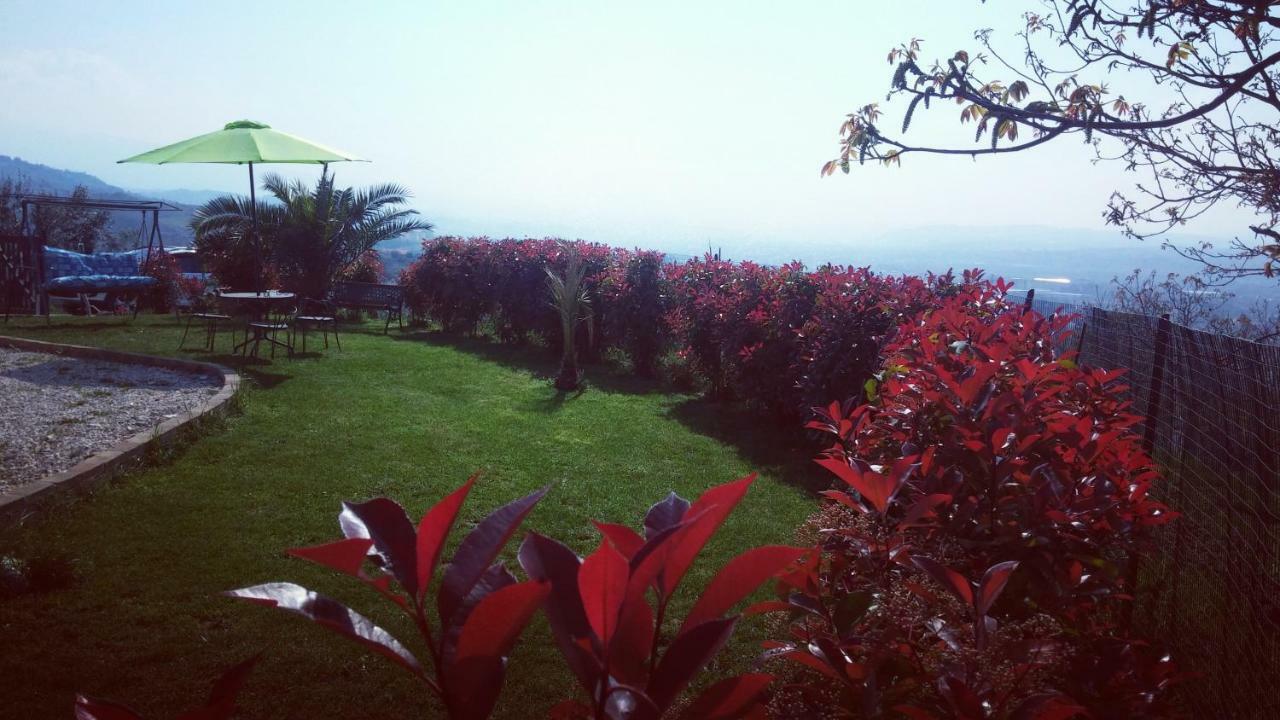 La Bella Addormentata Bed & Breakfast Chieti Bagian luar foto